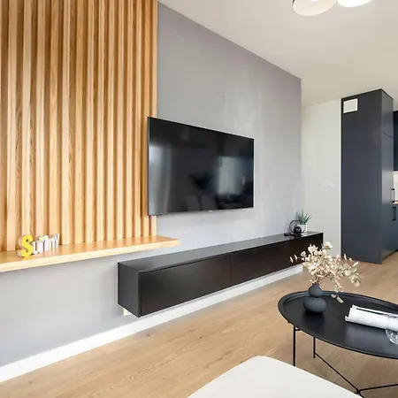 Spacious And Modern Paderewskiego With Air Conditioning By Renters * Rzeszow