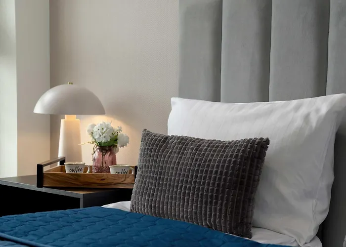 Spacious And Modern Paderewskiego With Air Conditioning By Renters