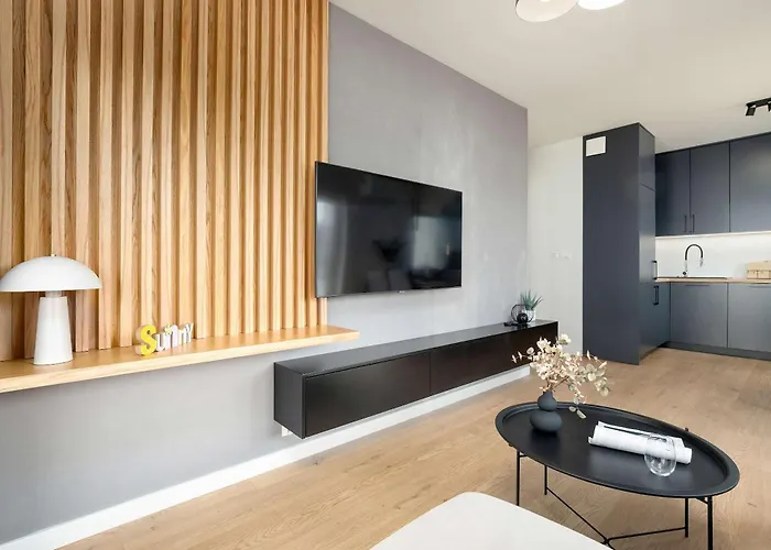 Spacious And Modern Paderewskiego With Air Conditioning By Renters * Rzeszów