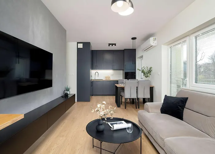 Spacious And Modern Paderewskiego With Air Conditioning By Renters Lägenhet *