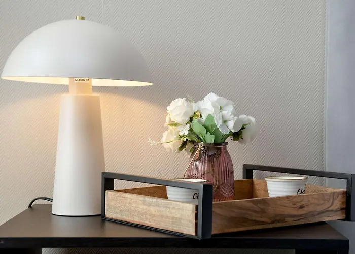 Spacious And Modern Paderewskiego With Air Conditioning By Renters